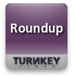 TurnKey Roundup - Issue Tracking System